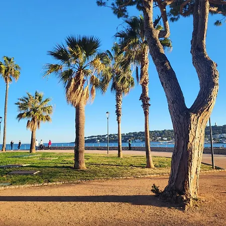 Center Of Antibes, Les Amaryllis - 3 Rooms, 5 Minutes From The Beaches 公寓 *